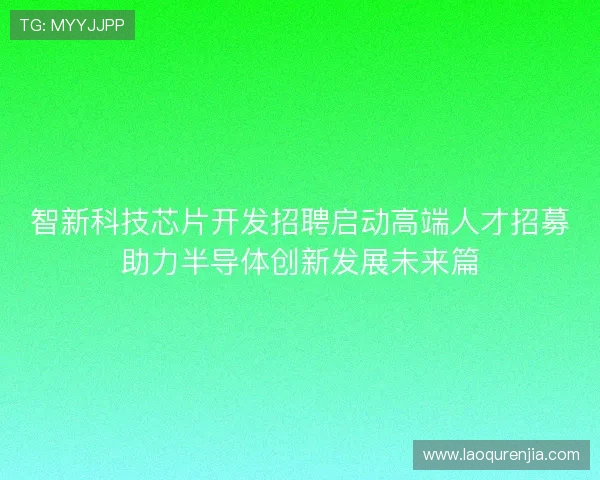 智新科技芯片开发招聘启动高端人才招募助力半导体创新发展未来篇